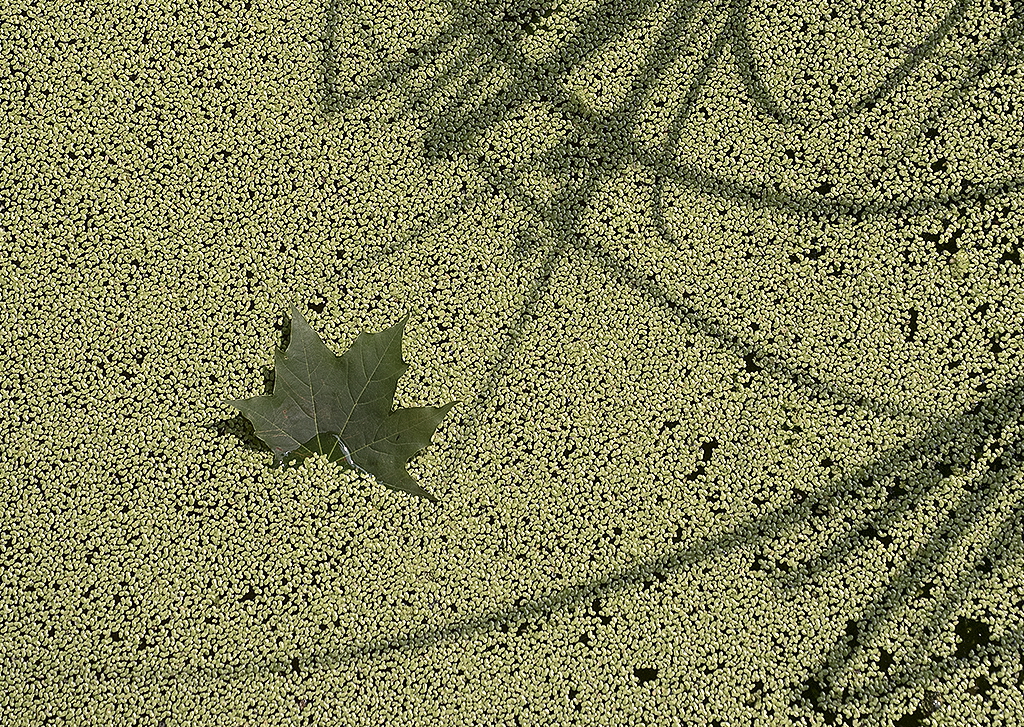 4711 Wuppertal Zoo KA7_2828 als Smartobjekt-1 Kopie.jpg